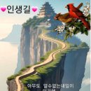 의미있는 이미지