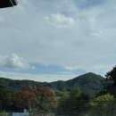 세이지우드 호텔 홍천 | 가족 여행 호텔 추천 | <홍천 세이지우드 호텔> 프레스티지 스위트 가든뷰 객실 후기