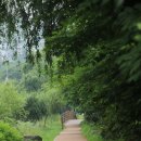 신동수변 이미지