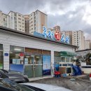 삼치회는 처음입니다 ; 제주도 추자회소랑 (제주 삼치회 현지인 맛집)