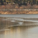 서호공원 이미지