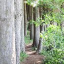 서귀포서비스 이미지