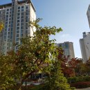 알파삼성(단지내)공인중개사사무소 이미지