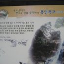 추원모차골 이미지