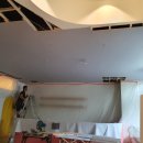 센텀애견샵 이미지