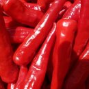 행복애농원 이미지