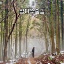 삼다수숲길 2코스 | 제주 삼다수숲길 1코스 2코스 : 주차 팁 코스 소요시간