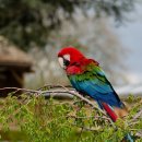 서라벌동물병원 이미지