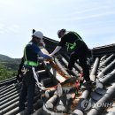 김정선생묘소일원 이미지