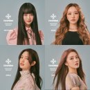지니어스 이미지