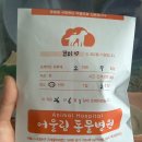 김동물병원 | 햄스터 서울 동물병원 종양 수술 후기