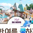 정자동 물놀이장 네이버블로그