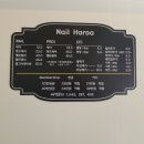 네일하로아 네이버블로그