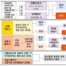 ﻿코로나바이러스감염증-19 이미지