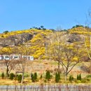 꽃동산어린이공원-2 이미지