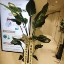 변호사정준호법률사무소