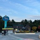 더베니스랜드 | 과천 서울랜드, 메리매일크리스마스축제 주말다녀온후기 코끼리열차 타는법