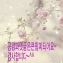 오치킨&오닥 이미지