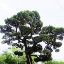 가락동행정복지센터 이미지