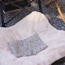 미미네강아지 이미지