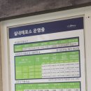 알펜시아리조트 오션700 다녀온 후기 에요