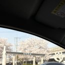 예림약국 | [미용]네이처헤어 상계백병원점- 염색 맛집/노원 미용실 추천/상계동 미용실