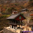 청량사 - 1641 | 청량사