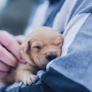 가능동물병원 이미지