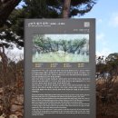 김양택 선생묘 | [군포] 광성부원군 김만기 묘(金萬基墓)