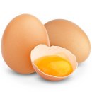 지투피트니스 이미지