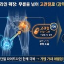 해인바이오텍 네이버블로그