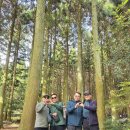 우정카써비스 | 제주도 단체여행 차량 추천: 인원별(6인승,12인승,25인승)렌트카 및 기사포함 투어 총정리