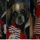 새마산동물병원 이미지