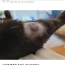 FM메디칼 이미지