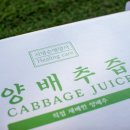 구영축산 | 양배추즙효능을 알아보고 간편하게 양배추즙 먹는방법도 알아보자!!