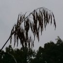 타임 행정사 사무소 이미지