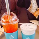 창동 가로수길 이미지