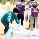 연합퇴비 이미지