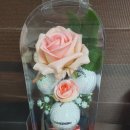 공컴퍼니