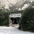 조록나무 뿌리 형상물 이미지