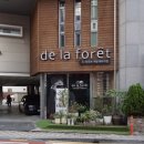 드라포레비치점 이미지