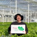 힘찬농장 이미지