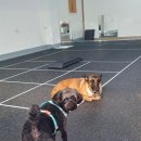 견학생스쿨 이미지