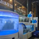 엑스포횟집 | 여수엑스포횟집 찾는다면 여기, 해수부실내포차 솔직 후기