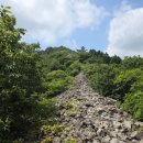 고대1087 이미지