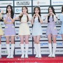 미모 이미지
