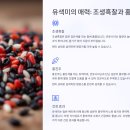 햇살 농장 이미지