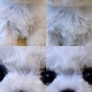나으ㅣ일상🩵/크리스마스/국시준비/대학졸업/부산여행/강아지분양사기
