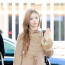 리즈백스킨
