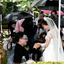 국제문화교류관 야외정원 이미지